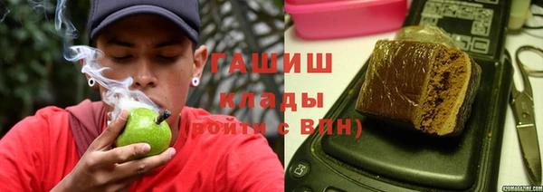 крисы Тайга