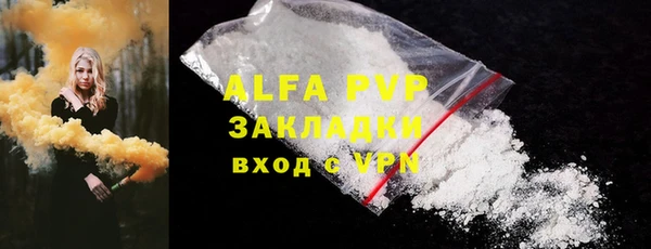 крисы Тайга