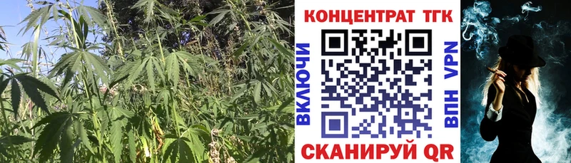 мега зеркало  Мариинск  ТГК Wax 