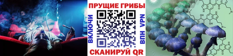 закладки  Мариинск  Псилоцибиновые грибы ЛСД 