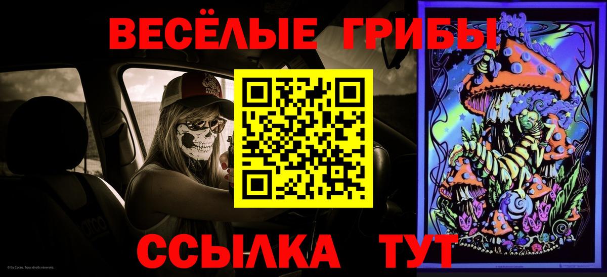 Псилоцибиновые грибы мухоморы Мариинск